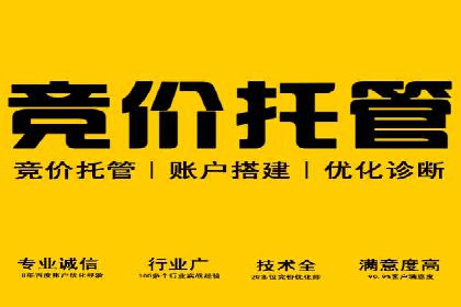 SEM推广优化策略：成功案例解析